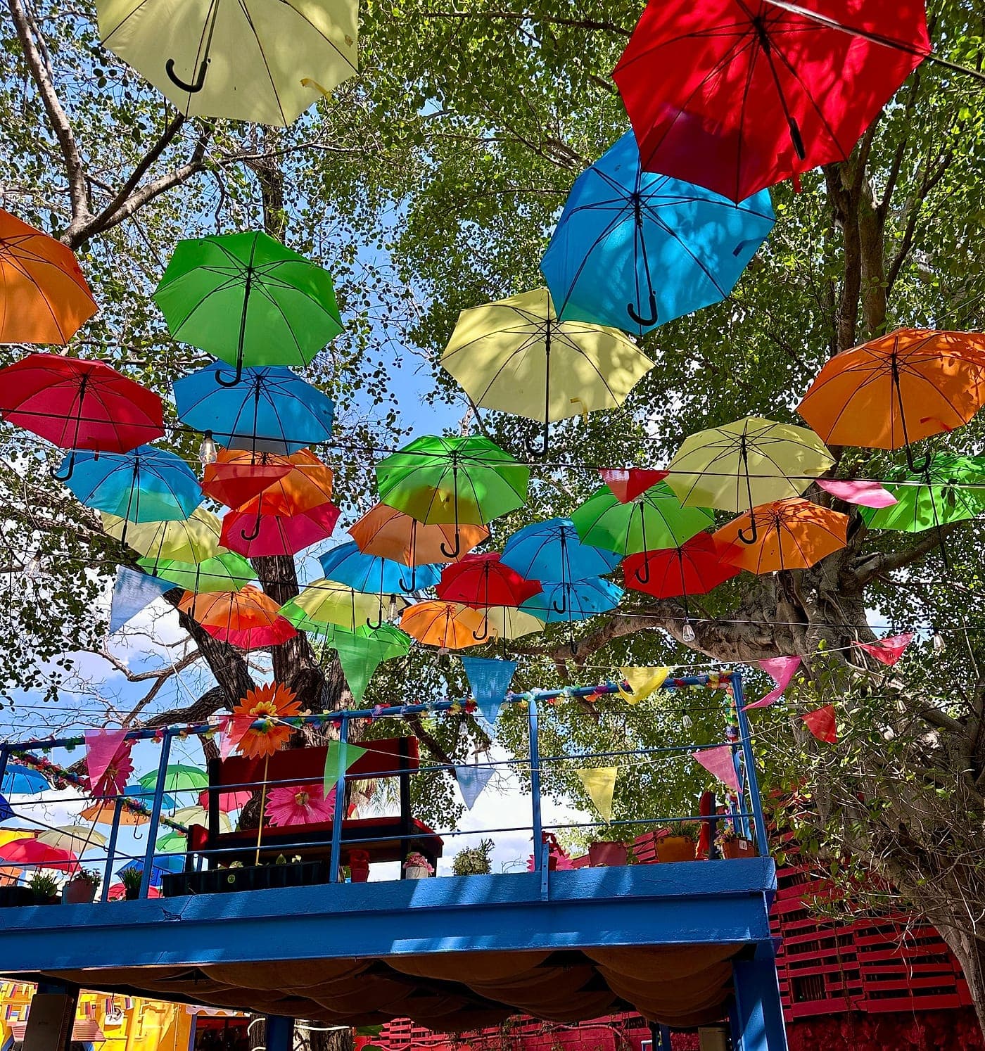 Dozens of colourful umbrellas hanging from the branches of a tree against a blue sky, with the venue's blue mezzanine below.