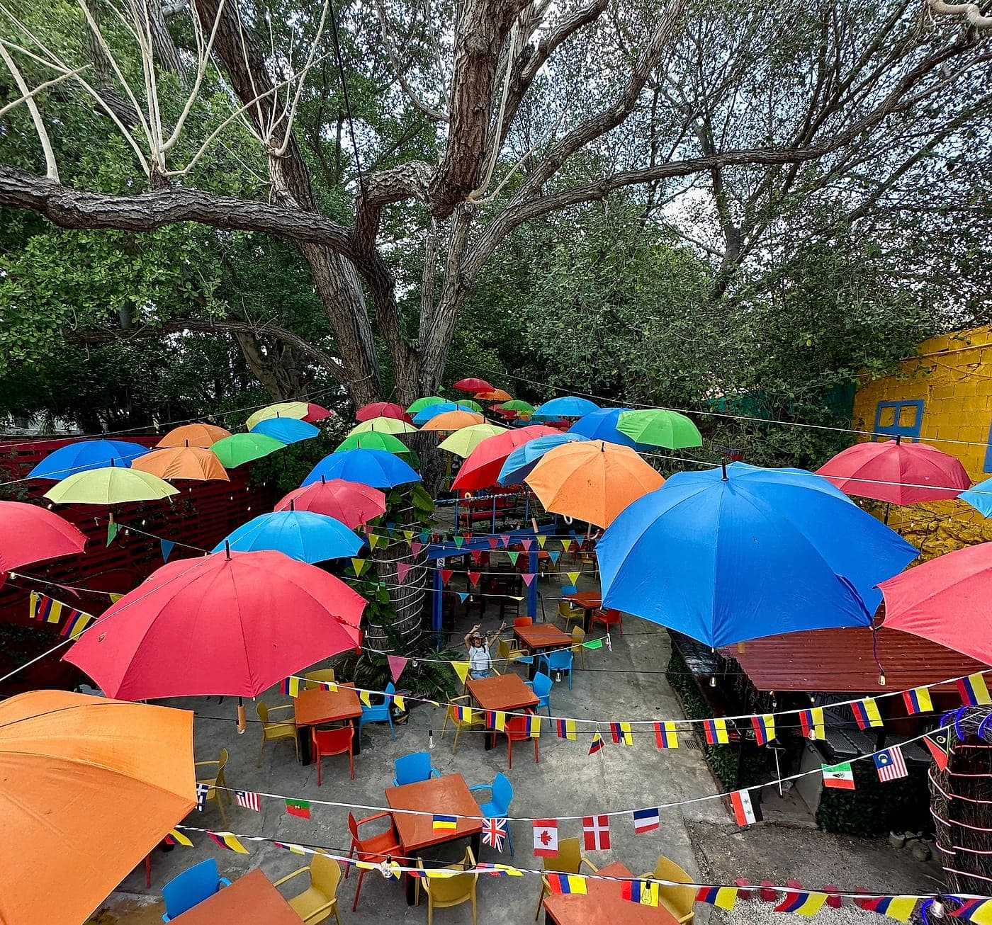 The terrace at Parceros under an enormous tree, with dozens of colored umbrellas hanging from the branches.